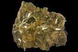 Selenite Crystal Cluster (Fluorescent) - Peru #94632-2